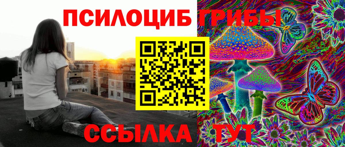 Гагарин  Галлюциногенные грибы прущие грибы  Вход с VPN 